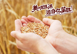 亿莱旺品牌包装设计案例